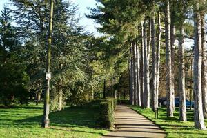 Wardown público parque de lutón pueblo de Inglaterra durante frío y soleado día de abril 7, 2023 foto