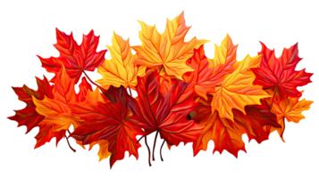 AI generated Large Bundle of Red and Yellow Maple Leaves Isolated on Transparent Background png