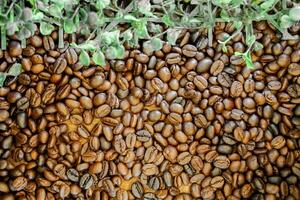 Top view roasted coffee beans background and texture with green leafs on corner. photo