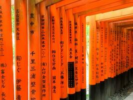 KYOTO City, JAPAN, 2015 - Red wooden poles of Torii gates at Fushimi Inari Shrine in Kyoto, Japan. This is Shinto shrine of Inari god and one of the most popular tourist destinations in Japan. photo