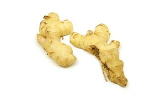 Raw ginger root isolate on white background. Ginger root originated as ground flora of tropical lowland forests in regions from the Indian. Widely used as a spice or a folk medicine. photo