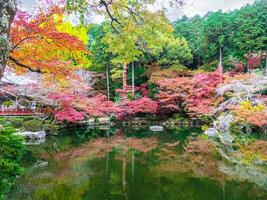 Beautiful and multi colors of maple trees with pond and shadow refection on bight blue sky background. photo