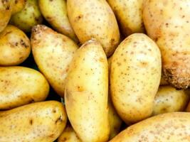 Closeup and top view heap of fresh potatoes for sale in the market fit to screen background and wallpaper. photo