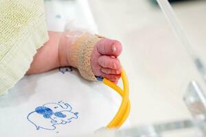 Sick newborn baby foot Insert a strap to measure oxygen in the blood and see the oxygen value for organs. photo