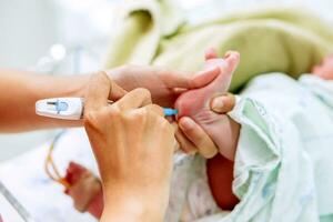 Hands of pediatric nurse holding and using Accu-Chek Fastclix stab on sick newborn baby foots to prepare check glucose in his blood at NICU wards. photo