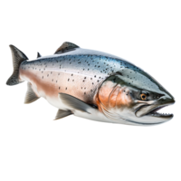 AI generated Gourmet Delight  Salmon , Culinary Creation for Healthy Dining, Generative Ai png