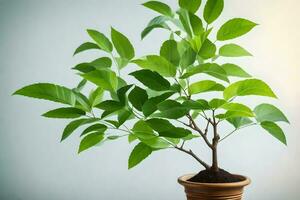 ai generado un en conserva planta en un mesa foto