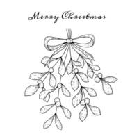 Hand Drawn Christmas Mistletoe Leaves Branch with Berries. Hand drawn line winter plant, herb with elegant leaves for christmas invitation vector