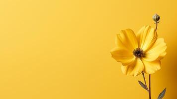 AI generated yellow sunflower on yellow background flat lay, top view photo