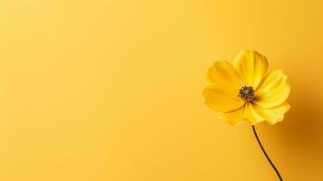 AI generated yellow sunflower on yellow background flat lay, top view photo