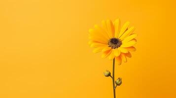 AI generated yellow sunflower on yellow background flat lay, top view photo