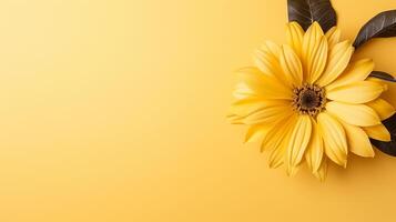 AI generated yellow sunflower on yellow background flat lay, top view photo