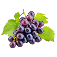 ai generado uva manojo aislado en transparente antecedentes png