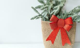 Beautiful small Christmas tree on wooden table. Happy mood. Garland lamp bokeh on background. Wallpaper. Danish pine and fir, Nobilis photo