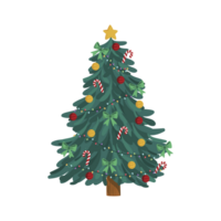 Christmas trees cartoon,New Years and xmas traditional symbol tree with garlands, light bulb,Decorated christmas tree Flat style png