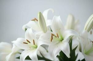 AI generated White lilies closeup. Generate Ai photo