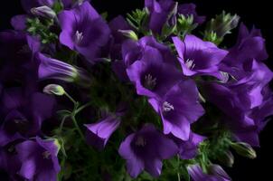 AI generated Purple campanula blossom flowers. Generate ai photo