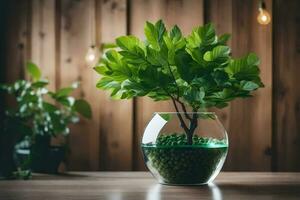 ai generado un pequeño árbol en un vaso florero en un mesa foto