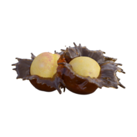 Realistic 3D render of Apricot best for commercial and Design purpose png