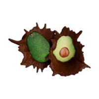 Realistic 3D render of Avocado best for commercial and Design purpose png