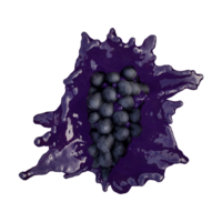 realista 3d render do azul uva melhor para comercial e Projeto objetivo png