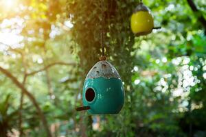 Bird houses made of ceramic in the garden. photo