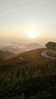 amanecer en el montaña. hermosa Mañana y niebla video