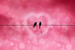 Silhouettes of minimal bird on power lines. photo