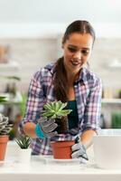 Portrait of happy woman holding succulent plant sitting on the table in kitchen. Woman replanting flowers in ceramic pot using shovel, gloves, fertil soil and flowers for house decoration. photo