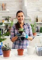 Portrait of happy woman holding succulent plant sitting on the table in kitchen. Woman replanting flowers in ceramic pot using shovel, gloves, fertil soil and flowers for house decoration. photo