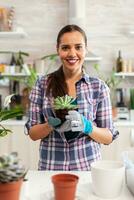 Portrait of happy woman holding succulent plant sitting on the table in kitchen. Woman replanting flowers in ceramic pot using shovel, gloves, fertil soil and flowers for house decoration. photo