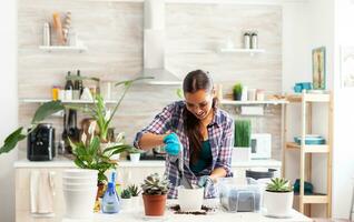 Cheerful woman caring for houseflowers sitting in the kitchen on table. Florist replanting flowers in white ceramic pot using shovel, gloves, fertil soil and flowers for house decoration. photo