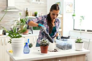 Cheerful woman caring for houseflowers sitting in the kitchen on table. Florist replanting flowers in white ceramic pot using shovel, gloves, fertil soil and flowers for house decoration. photo