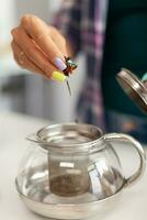 Close up of housewife brewing green tea during breakfast in kitchen. Preparing tea in the morning, in a modern kitchen sitting near the table. Putting with hands, healthy herbal in pot. photo