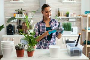 Housewife wearing glove for gardening while taking care of flowers in home kitchen. photo