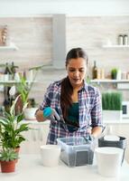 ama de casa jardinería en el cocina a hogar utilizando guantes y pala. decorativo, plantas, creciente, estilo de vida, diseño, botánica, suciedad, doméstico, crecer, hoja, pasatiempo, siembra, cuidado, feliz, verde, natural, foto