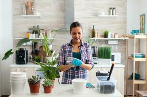 Woman house planting in kitchen using gardening gloves. Using fertil soil with a shovel into pot, white ceramic pot and houseflower, plants, prepared for replanting at home for house decoration. photo