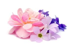 The bouquet of pink fairy rose,  Queen's wreath flower and Oxalis flower. photo