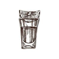 Hand-drawn shot glass with tequila with a slice of lime. Design element for the menu of bars and restaurants, alcohol stores. Vector sketch illustration in engraving style. Mexican, Latin America.