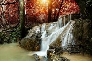 Small waterfall in the forest in summer. photo