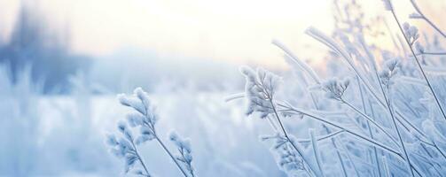 AI generated Frozen snowy grass, winter natural abstract background. beautiful winter landscape. AI Generated photo
