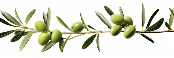 AI generated Olive tree branch, green olives and leaves on white background. AI Generated. photo