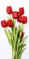 AI generated Red tulips isolated on white background. AI Generated photo