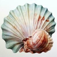 AI generated Watercolor Seashell clipart on white background. AI Generated photo