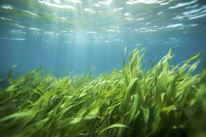 AI generated Underwater view of a group of seabed with green seagrass. AI Generated photo