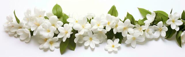 AI generated Jasmine flowers on white surface. AI Generated photo