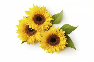 AI generated Sunflowers isolated on white background. AI Generated photo