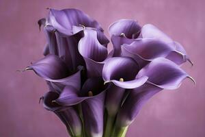 AI generated Bouquet of purple calla lilies against purple background.AI Generated photo