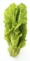 AI generated Lettuce isolated on white background. AI Generated photo