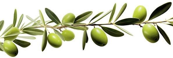 AI generated Olive tree branch, green olives and leaves on white background. AI Generated. photo